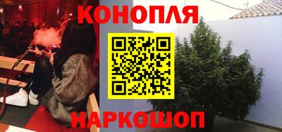 прущие грибы Апшеронск