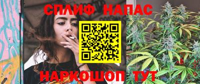 прущие грибы Апшеронск